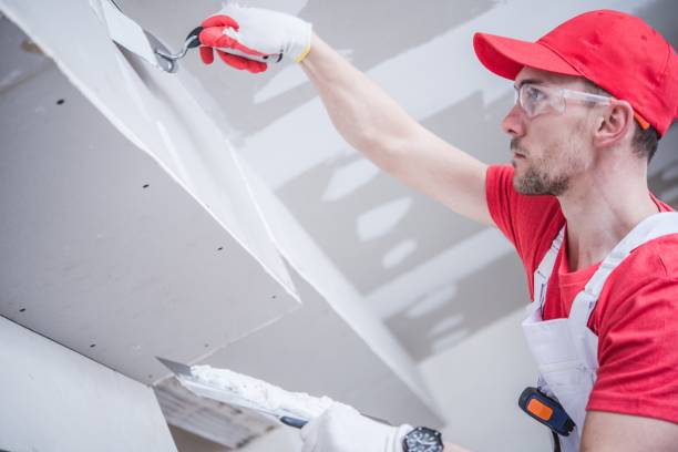 Best Water-Damaged Drywall Repair  in Osakis, MN